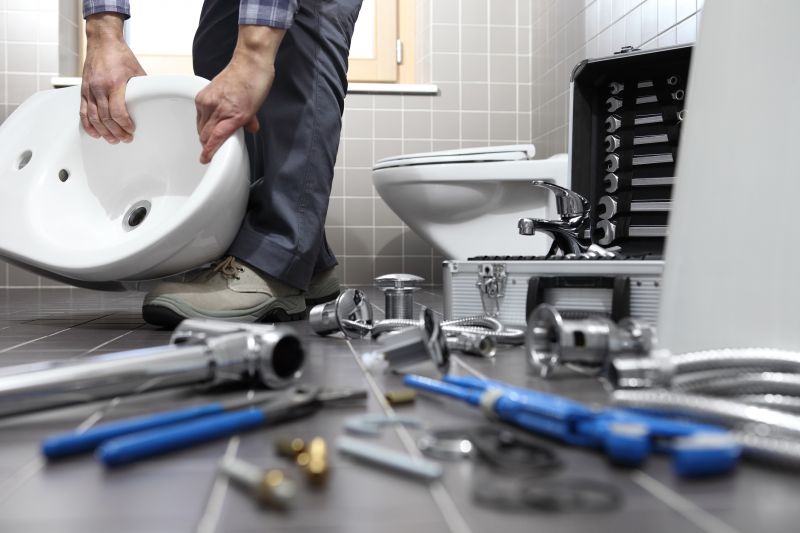 Toilet Snaking detail